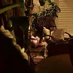 House 4*