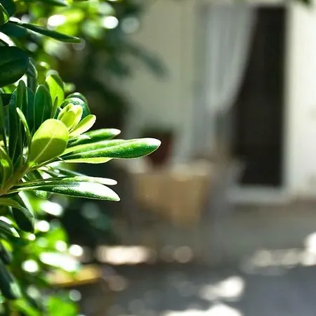 Maison d'hôtes Green House Beach