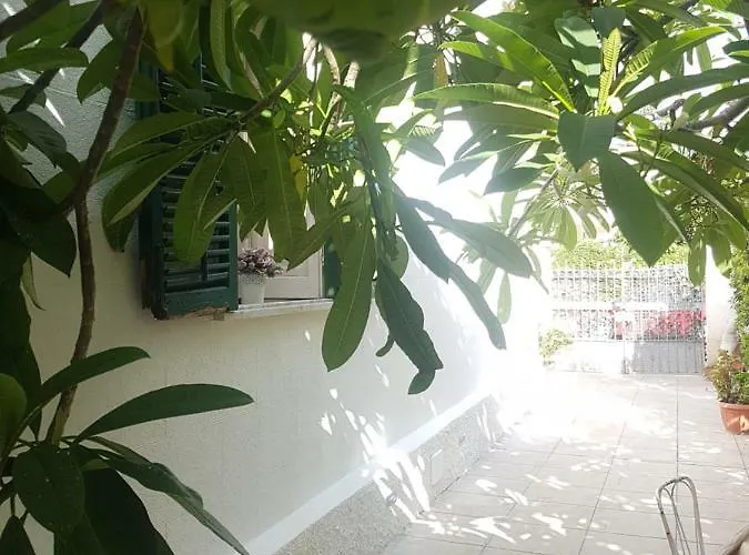 Πανσιόν House Mondello
