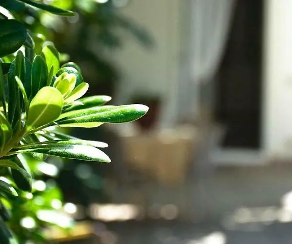 Πανσιόν House